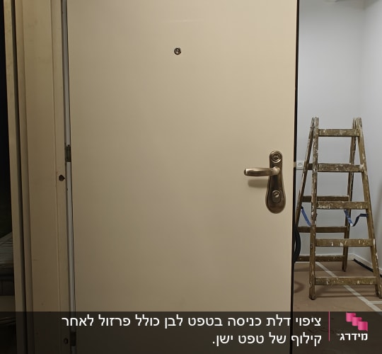 דלת לבנה עם ידית מתכת, סולם ברקע